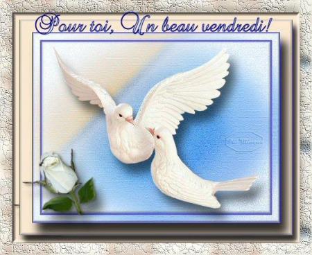 Bonjour tout le monde